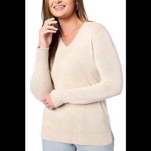 Pure Splendor Women's Cashmere V-Neck Long Slv Tunic Pullover Oatmeal - Regular